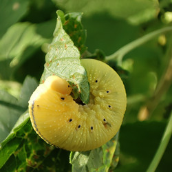 Similar image 21526977