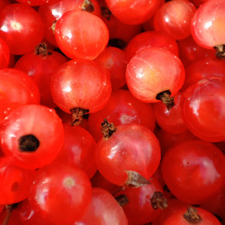 Similar image 21526978