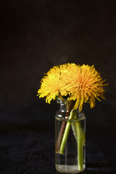 Similar image 21528278