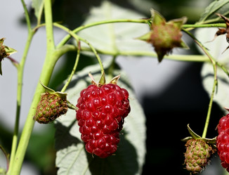 Similar image 21528279