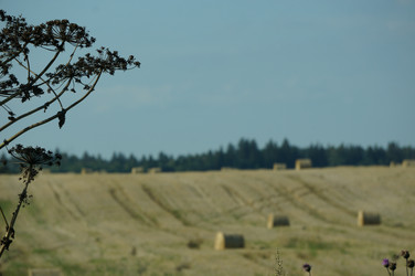 Similar image 21526787