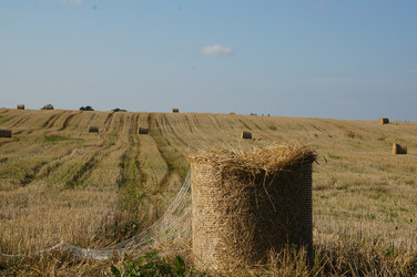 Similar image 21526788