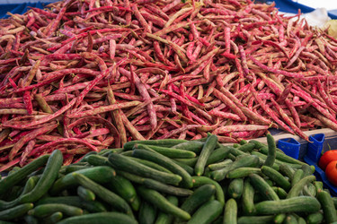 Similar image 21533395