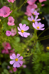 Similar image 21528529