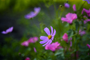 Similar image 21528532