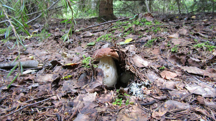 Similar image 21531031