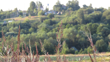 Similar image 21531032