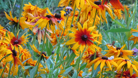 Similar image 21531033