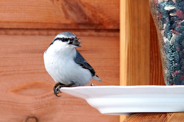 Similar image 21528283