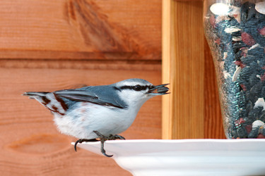 Similar image 21528284