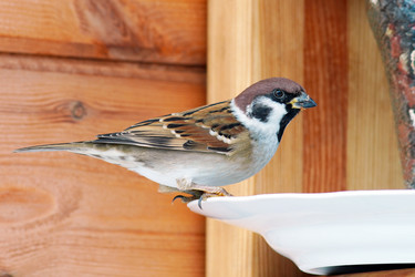 Similar image 21528853