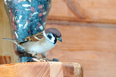 Similar image 21528854