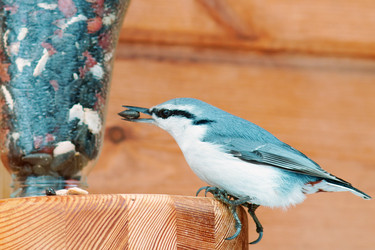 Similar image 21528285