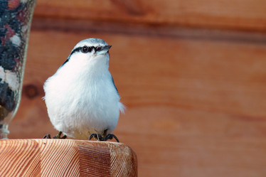 Similar image 21528286