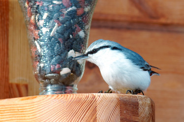 Similar image 21528289