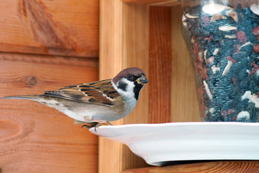 Similar image 21528855