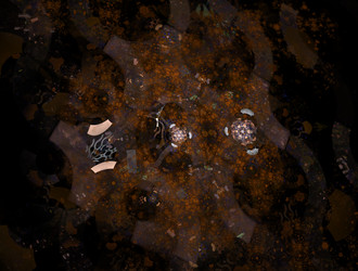 Similar image 21532946