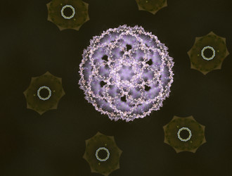 Similar image 21532955