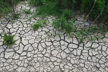 Similar image 21538512