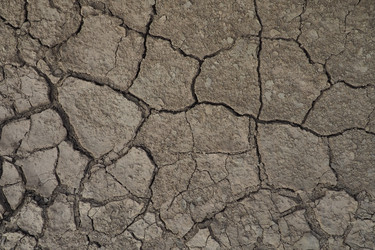 Similar image 21538513