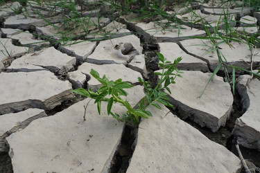 Similar image 21538515