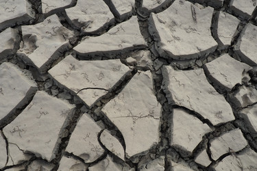 Similar image 21538516