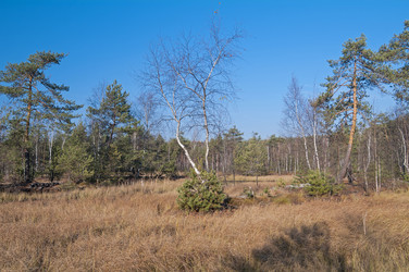 Similar image 21528302