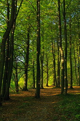 Similar image 21528303