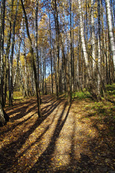 Similar image 21528305