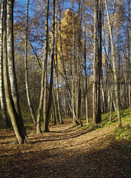 Similar image 21528306