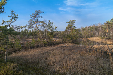 Similar image 21528308