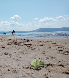 Similar image 21528329