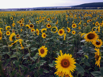 Similar image 21528730