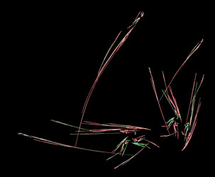 Similar image 21530526