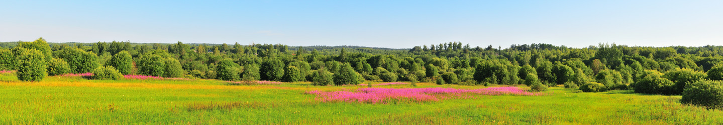 Similar image 21528334