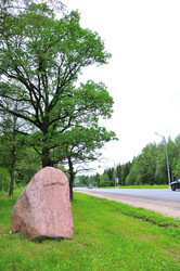 Similar image 21528336