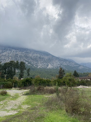 Similar image 21533406