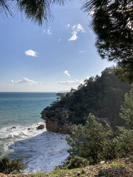 Similar image 21533408