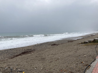 Similar image 21533436