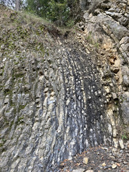 Similar image 21533452