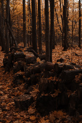 Similar image 21528346