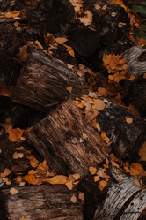 Similar image 21528349