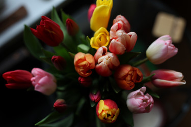 Similar image 21528731