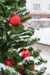 Similar image 21534039