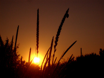 Similar image 21528352