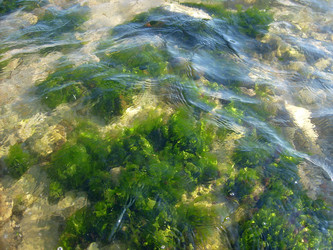 Similar image 21528355