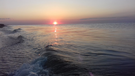 Similar image 21528359