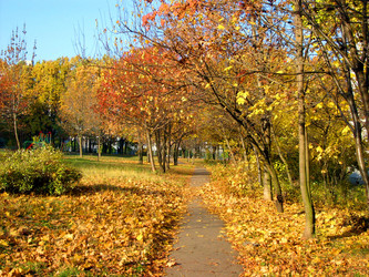 Similar image 21528362