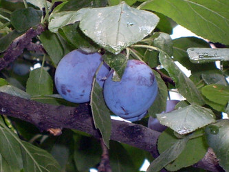 Similar image 21528365