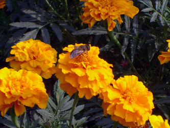 Similar image 21528366